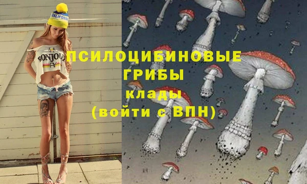 мдма Осташков