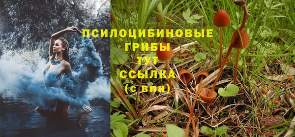 гидропоника Остров