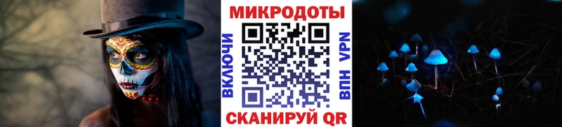 Галлюциногенные грибы Psilocybine cubensis  Купить  Нягань 